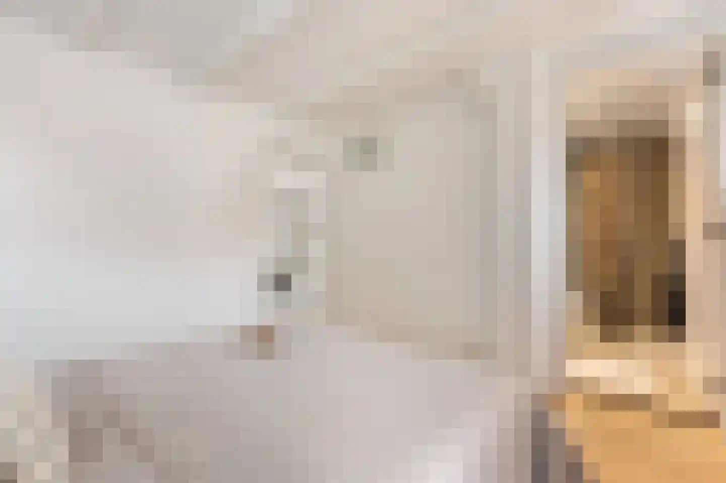 Bakenesserstraat 27 E Haarlem thumbnail 21
