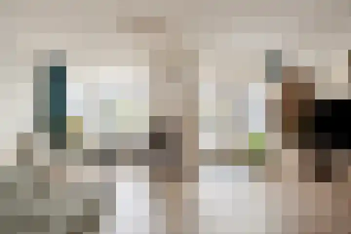 Baker 26 Nieuw-Vennep thumbnail 13