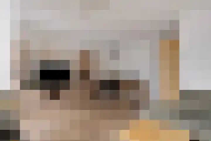 Baker 26 Nieuw-Vennep thumbnail 17