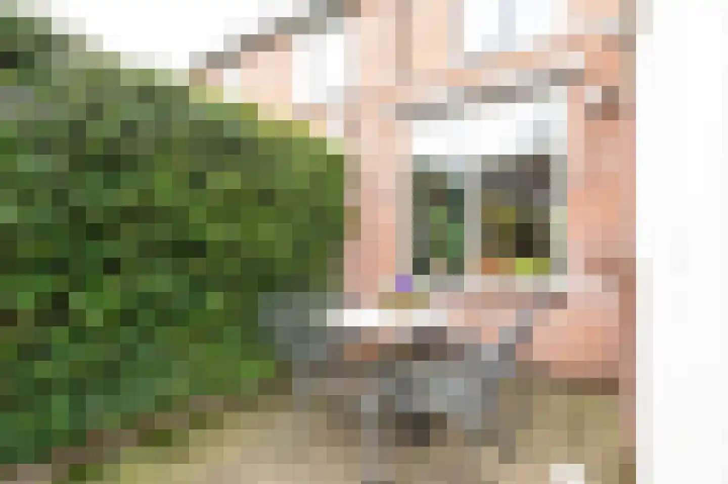 Bakershoeve 2 Apeldoorn thumbnail 19