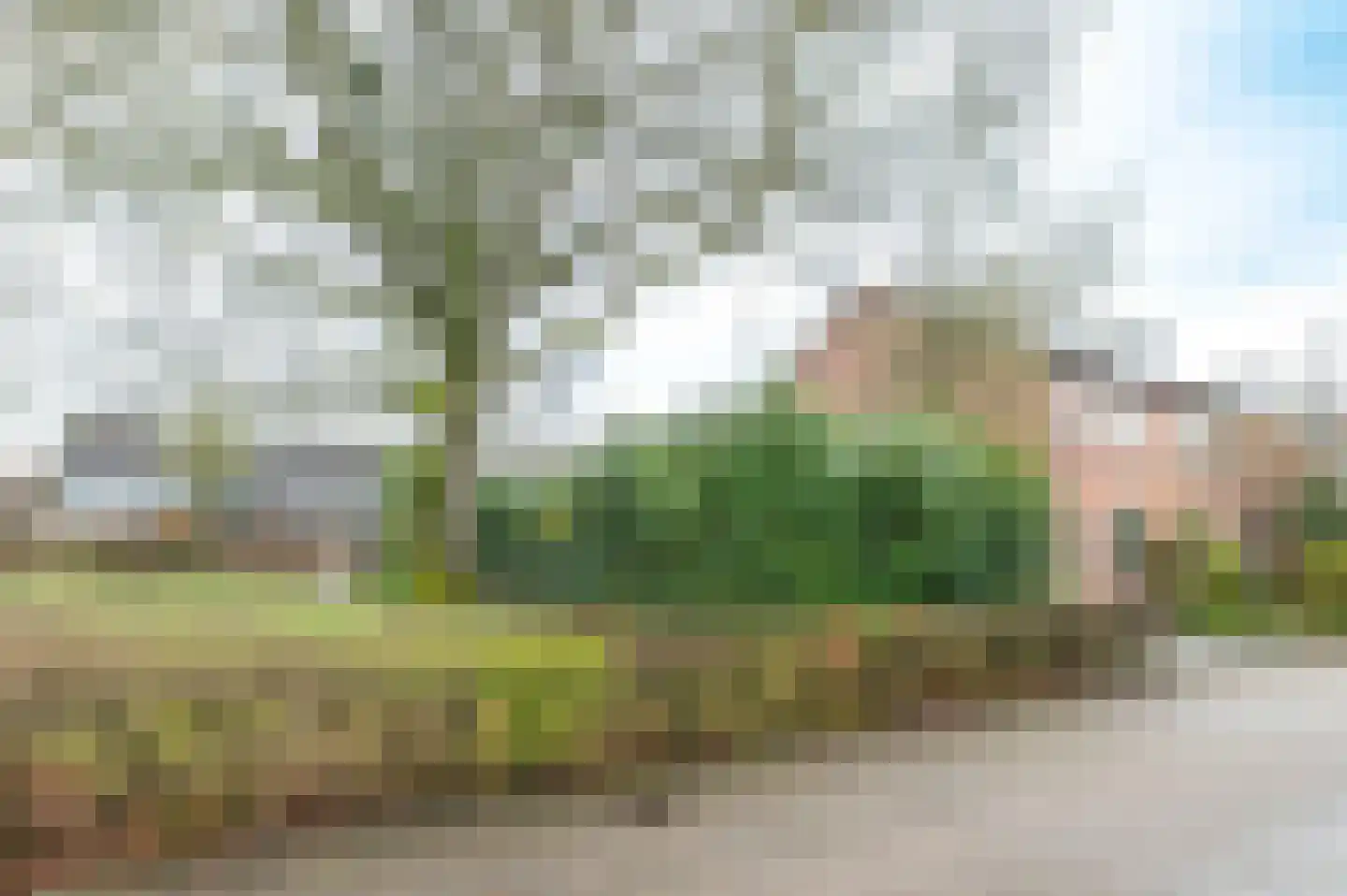 Bakershoeve 2 Apeldoorn thumbnail 5