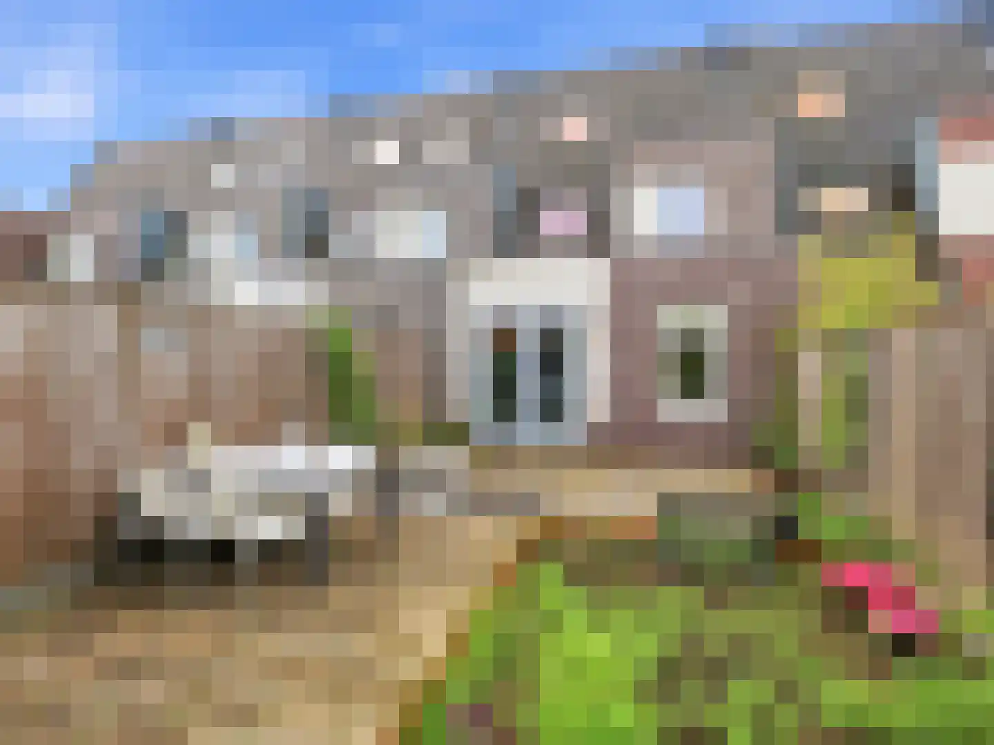 Bakerstraat 35 Zutphen thumbnail 25