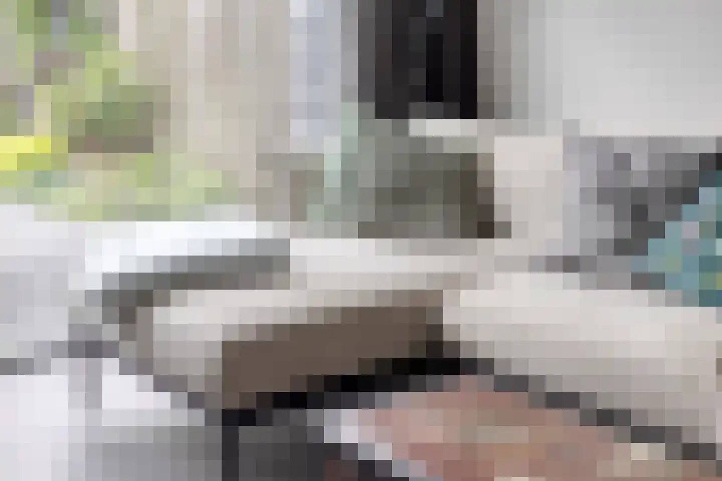 Bakerwaard 2 Arnhem thumbnail 17