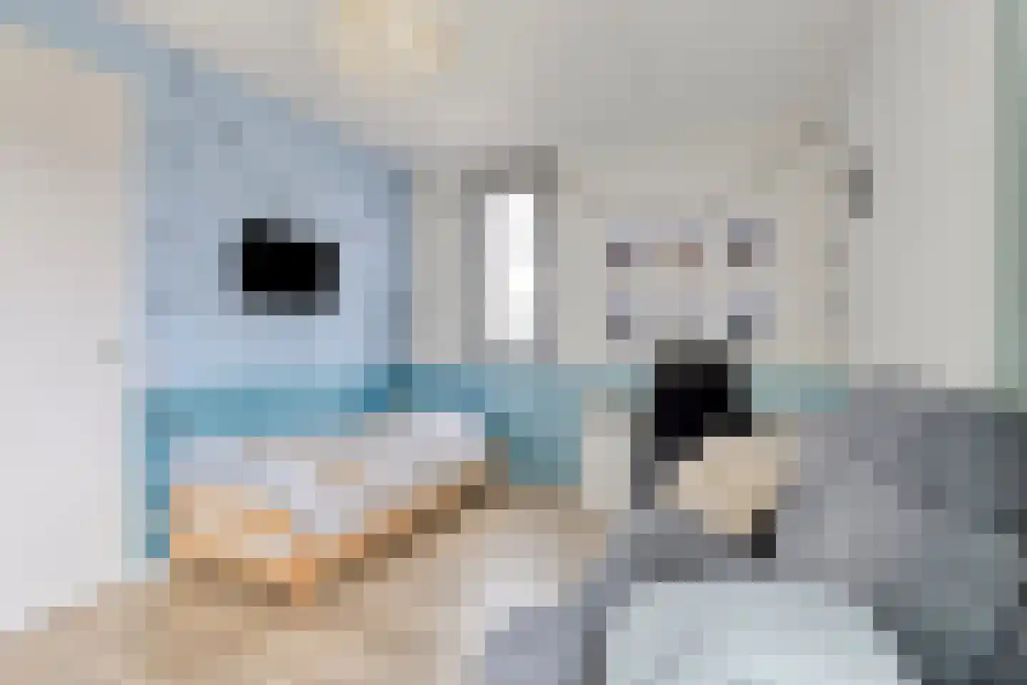 Bakerwaard 2 Arnhem thumbnail 18