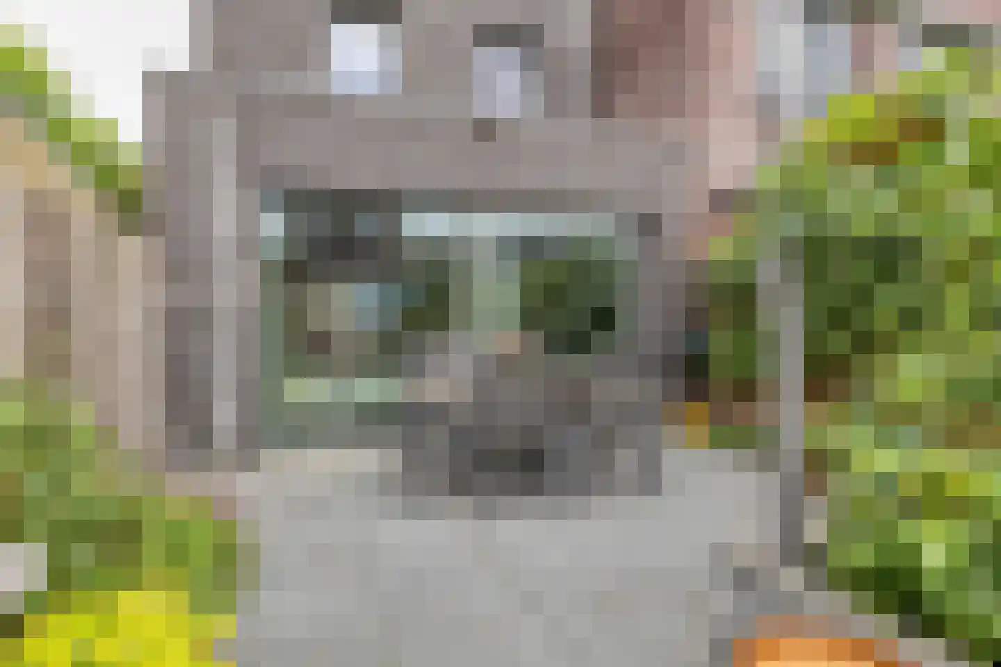 Bakerwaard 2 Arnhem thumbnail 35