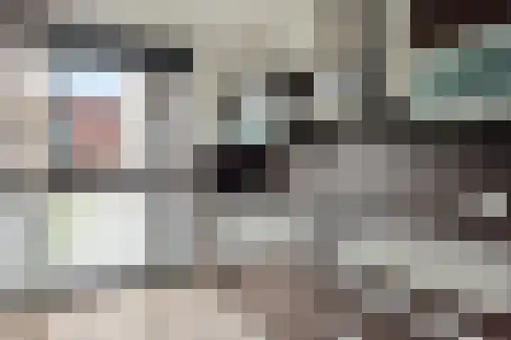 Bakerwaard 7 Arnhem thumbnail 14