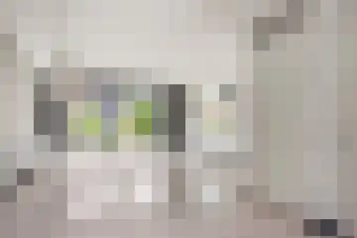 Bakerwaard 7 Arnhem thumbnail 7