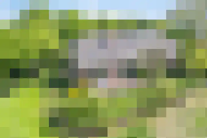 Bakerwaardseweg 7 Bronkhorst
