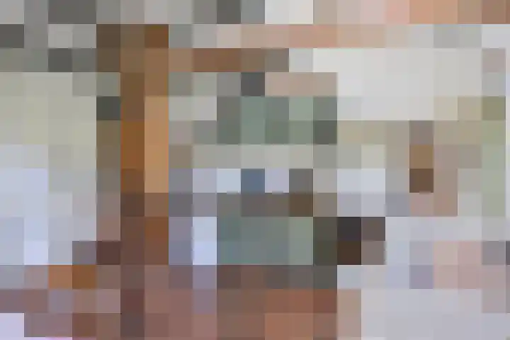 Bakerwaardseweg 7 Bronkhorst thumbnail 12