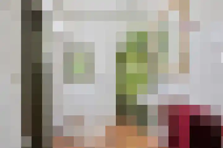 Bakerwaardseweg 7 Bronkhorst thumbnail 20