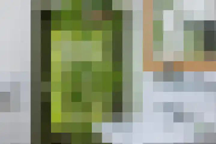 Bakerwaardseweg 7 Bronkhorst thumbnail 22