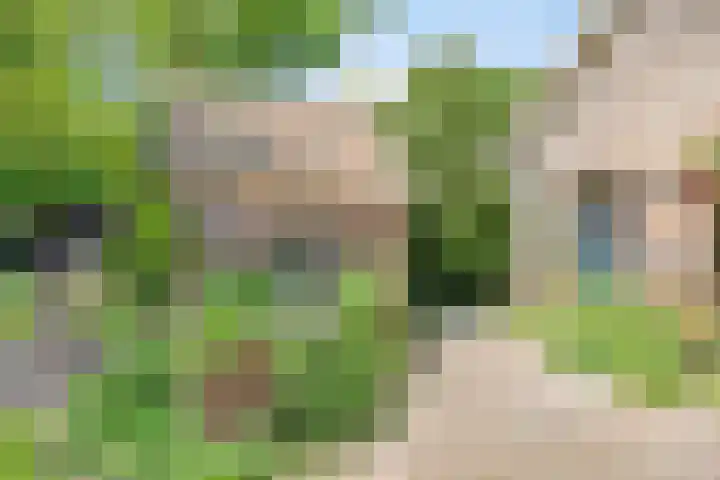 Bakerwaardseweg 7 Bronkhorst thumbnail 5