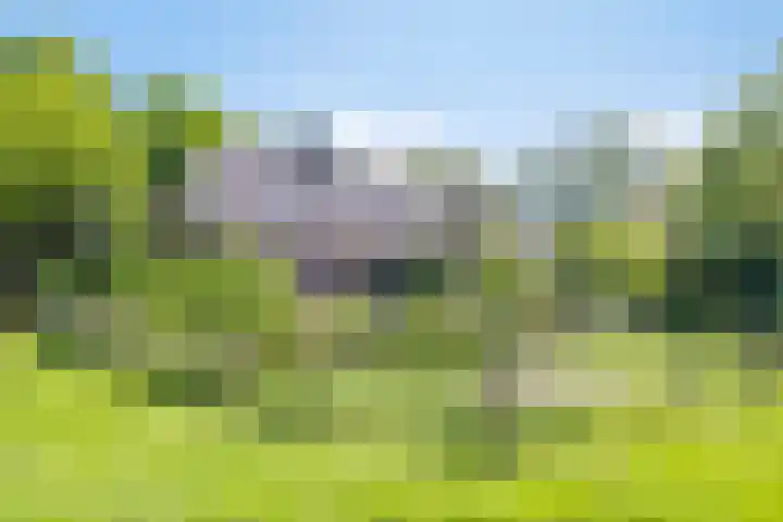 Bakerwaardseweg 7 Bronkhorst thumbnail 6