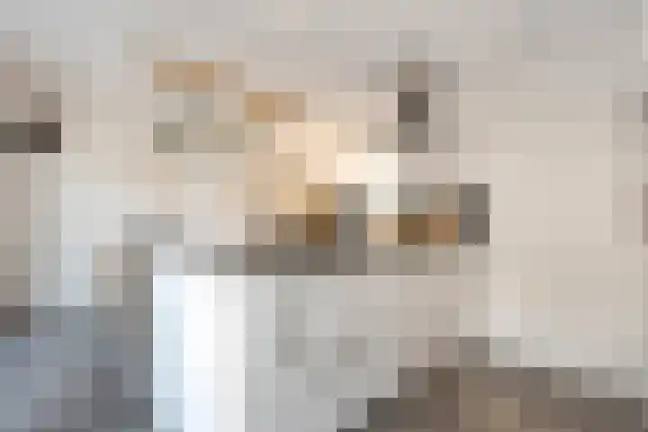 Bakhuijs Roozeboomlaan 2 Almelo thumbnail 10
