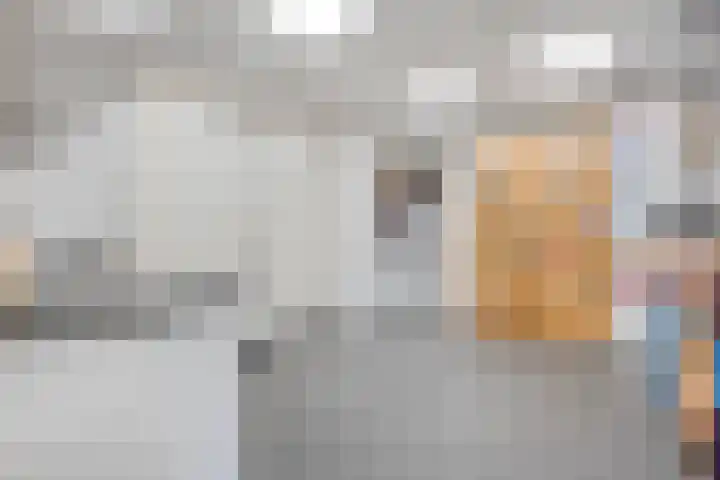 Bakhuijs Roozeboomlaan 2 Almelo thumbnail 11