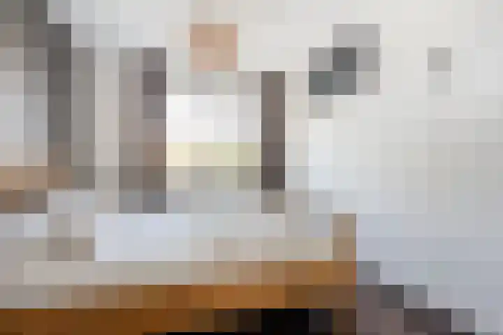 Bakhuijs Roozeboomlaan 2 Almelo thumbnail 13