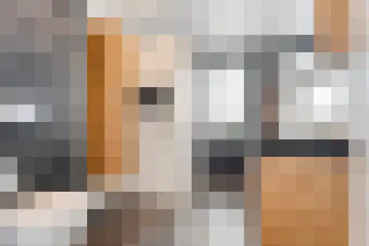 Bakhuijs Roozeboomlaan 2 Almelo thumbnail 14