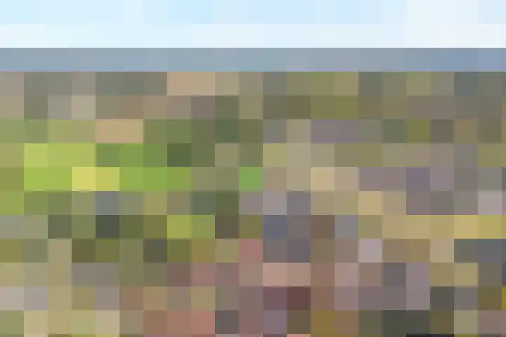 Bakhuijs Roozeboomlaan 2 Almelo thumbnail 24