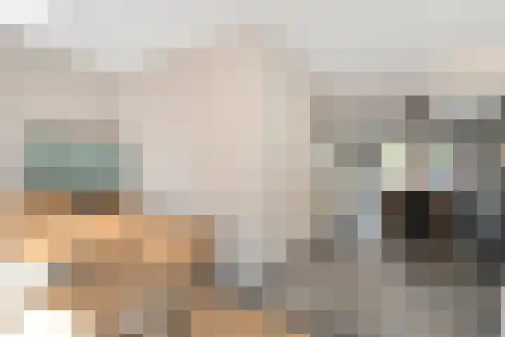 Bakhuijs Roozeboomlaan 2 Almelo thumbnail 6