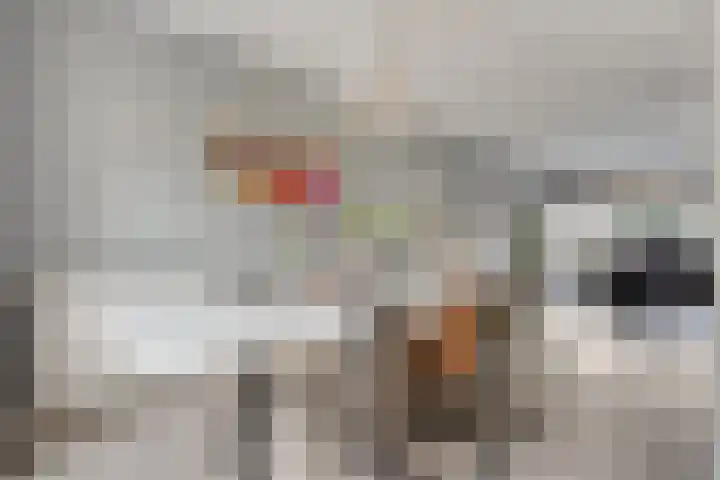 Bakhuijs Roozeboomlaan 8 Almelo thumbnail 10