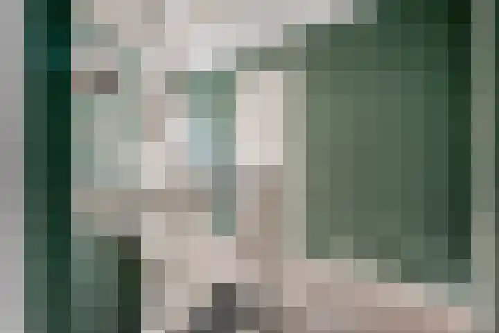 Bakhuijs Roozeboomlaan 8 Almelo thumbnail 14