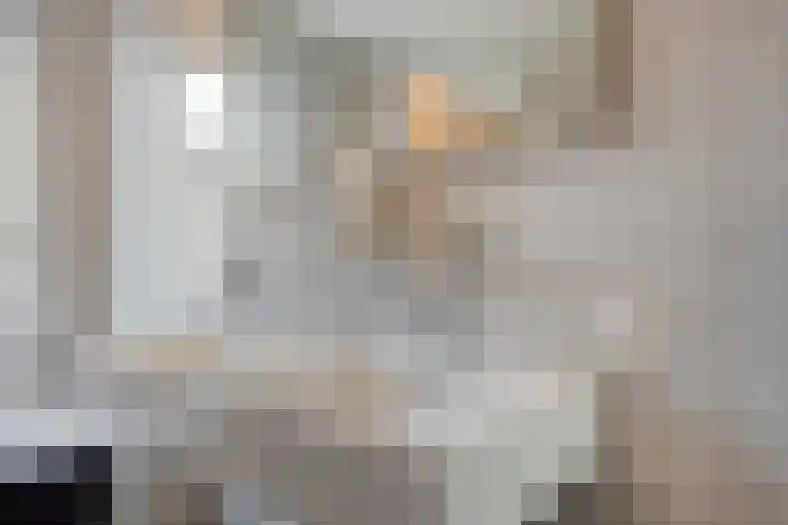 Bakhuijs Roozeboomlaan 8 Almelo thumbnail 17