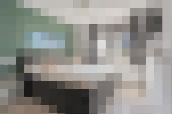 Bakhuijs Roozeboomlaan 8 Almelo thumbnail 18