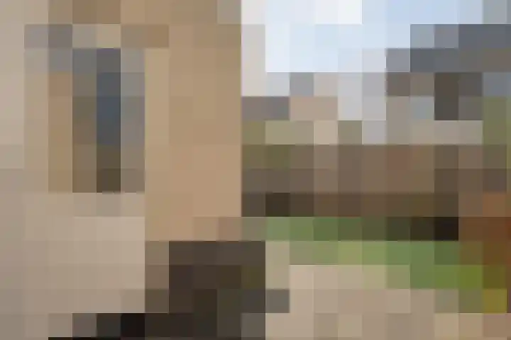 Bakhuijs Roozeboomlaan 8 Almelo thumbnail 23