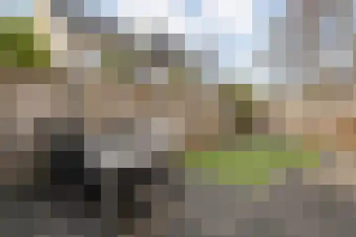 Bakhuijs Roozeboomlaan 8 Almelo thumbnail 24