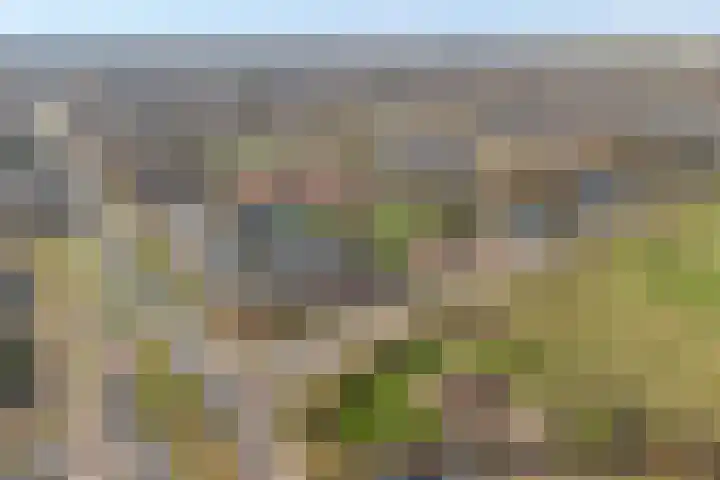 Bakhuijs Roozeboomlaan 8 Almelo thumbnail 28