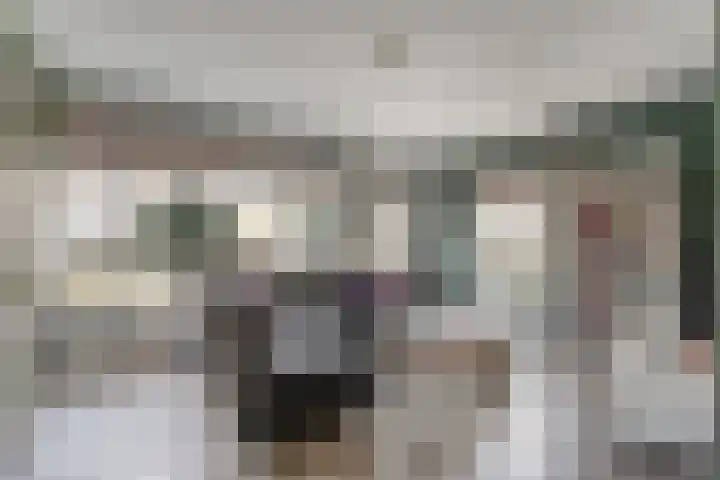 Bakhuijs Roozeboomlaan 8 Almelo thumbnail 7