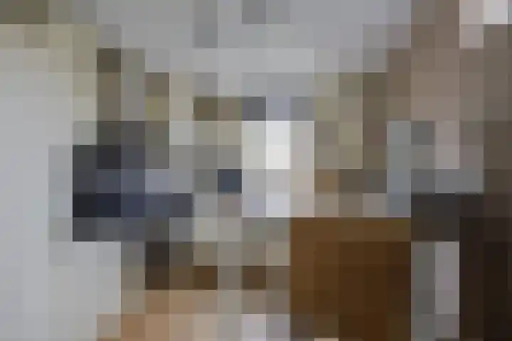 Bakhuis 17 Etten-Leur thumbnail 15