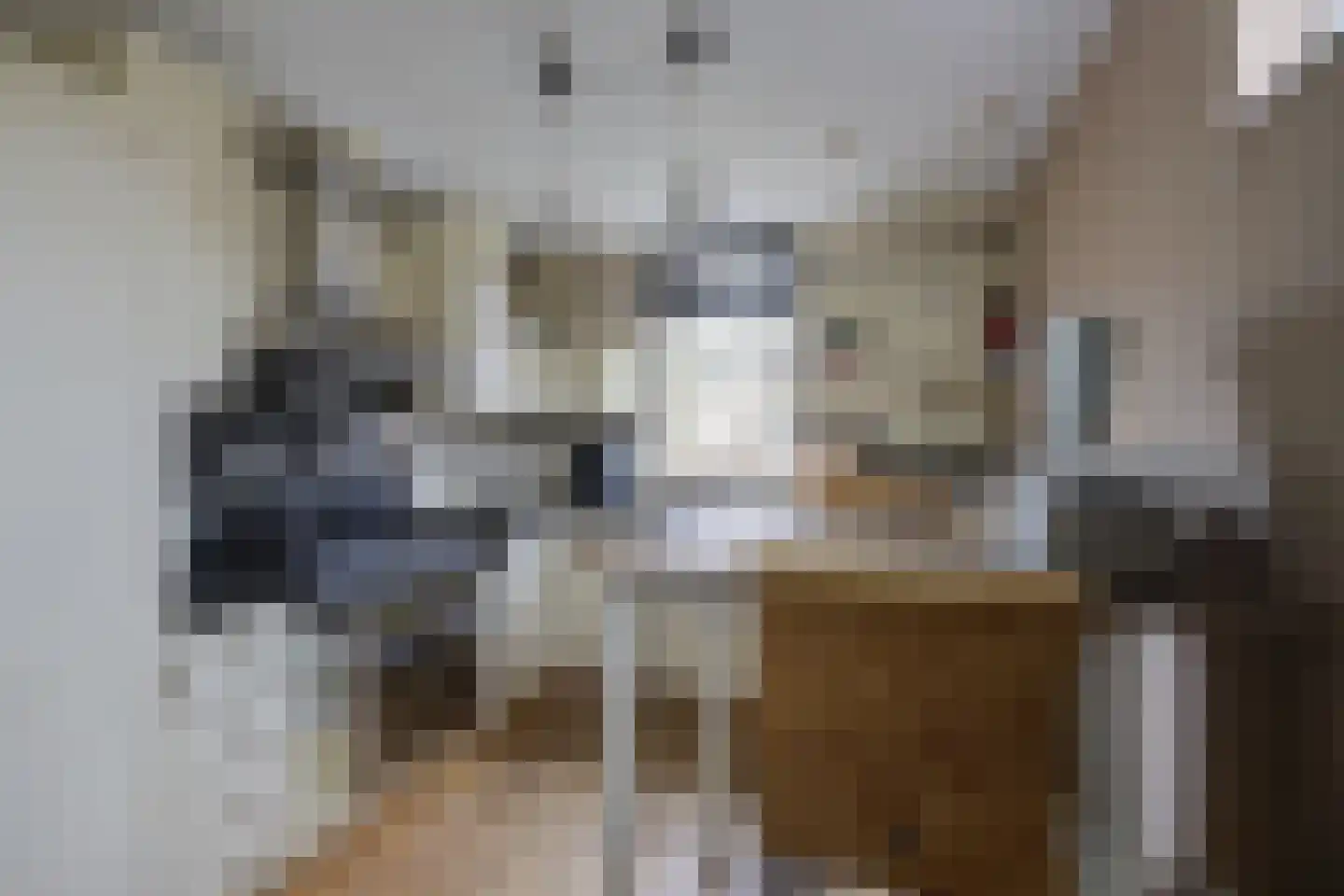 Bakhuis 17 Etten-Leur thumbnail 15