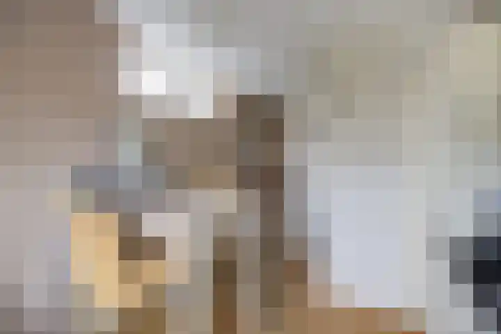Bakhuis 17 Etten-Leur thumbnail 16