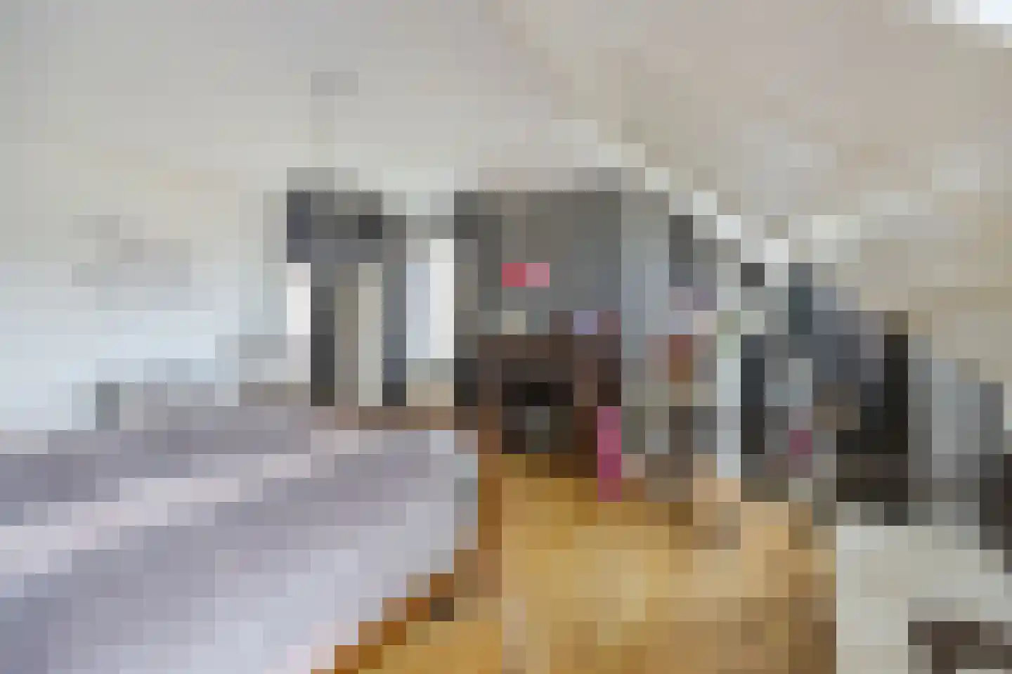 Bakhuis 17 Etten-Leur thumbnail 21