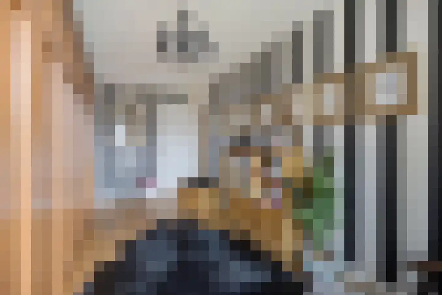 Bakhuis 17 Etten-Leur thumbnail 23