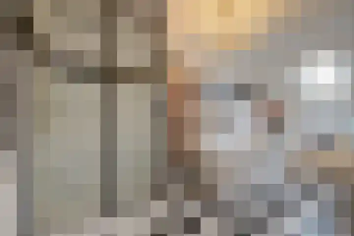 Bakhuis 17 Etten-Leur thumbnail 24