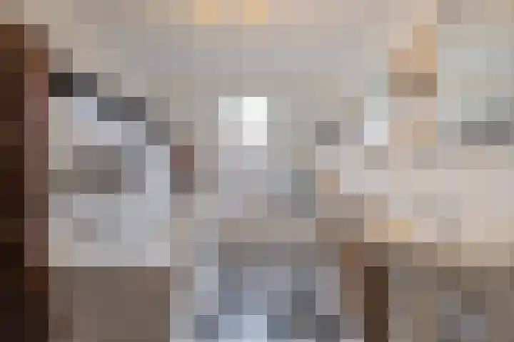 Bakhuis 17 Etten-Leur thumbnail 25
