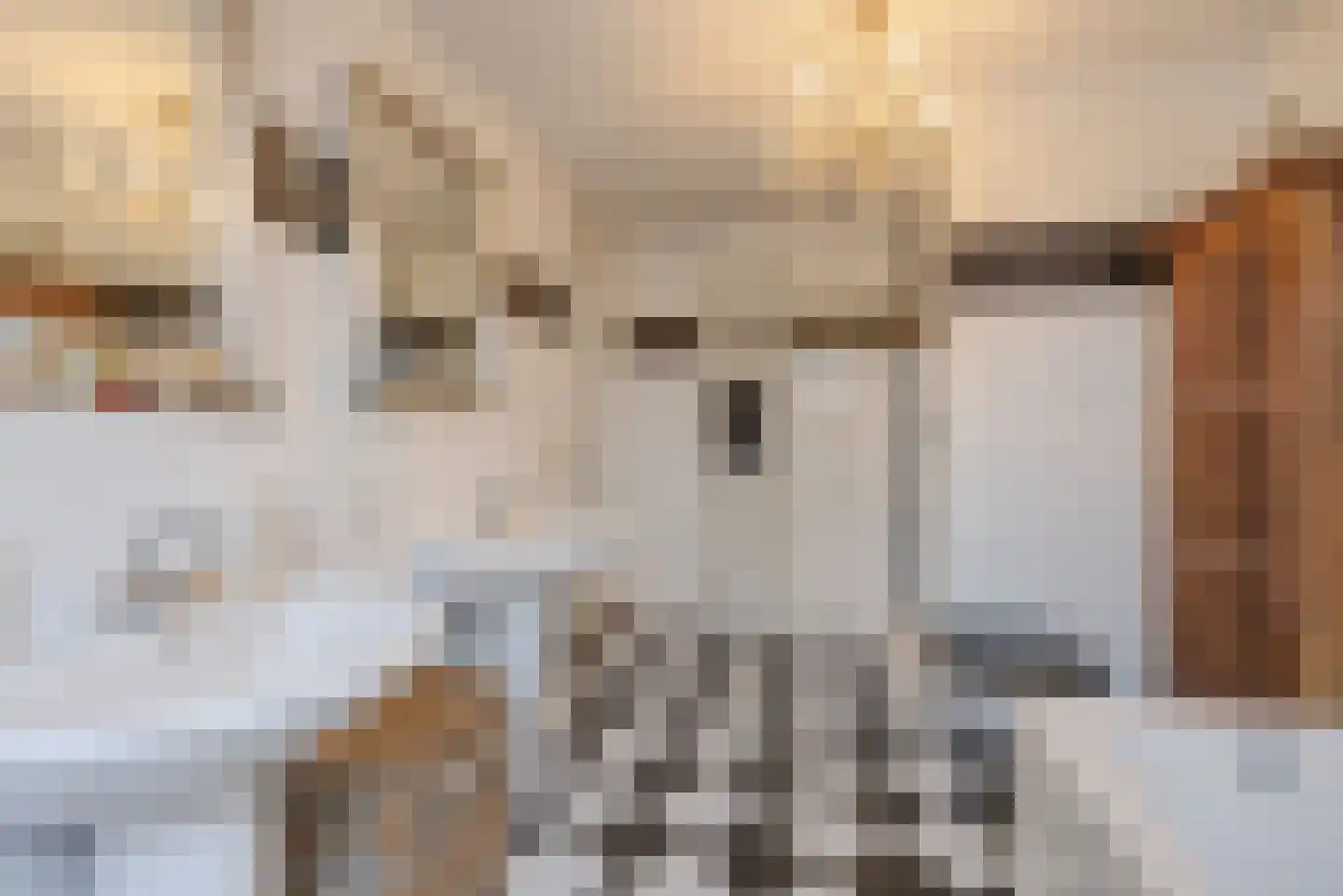 Bakhuis 17 Etten-Leur thumbnail 26