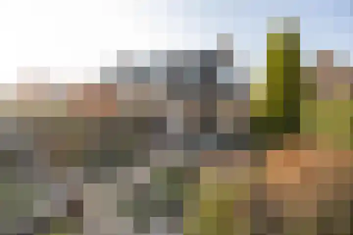 Bakhuis 17 Etten-Leur thumbnail 35