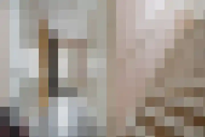 Bakhuis 17 Etten-Leur thumbnail 7