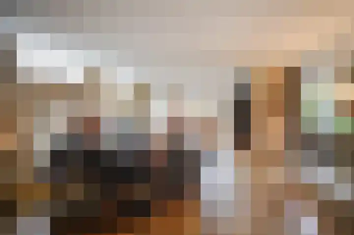 Bakhuis 17 Etten-Leur thumbnail 8