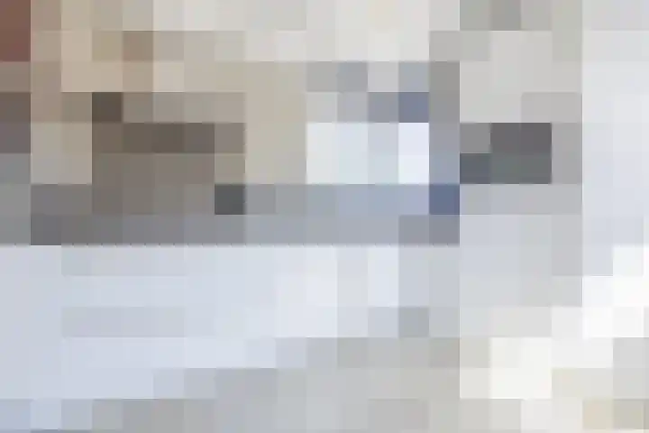 Bakhuis 25 Oud-Beijerland thumbnail 13
