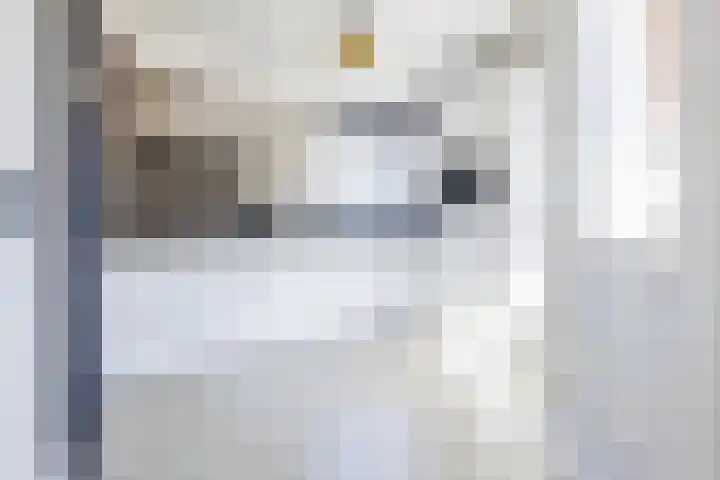 Bakhuis 25 Oud-Beijerland thumbnail 14