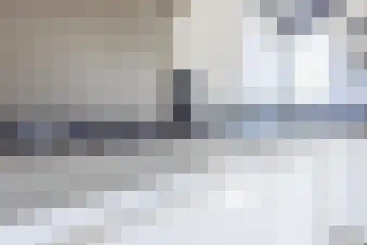 Bakhuis 25 Oud-Beijerland thumbnail 16