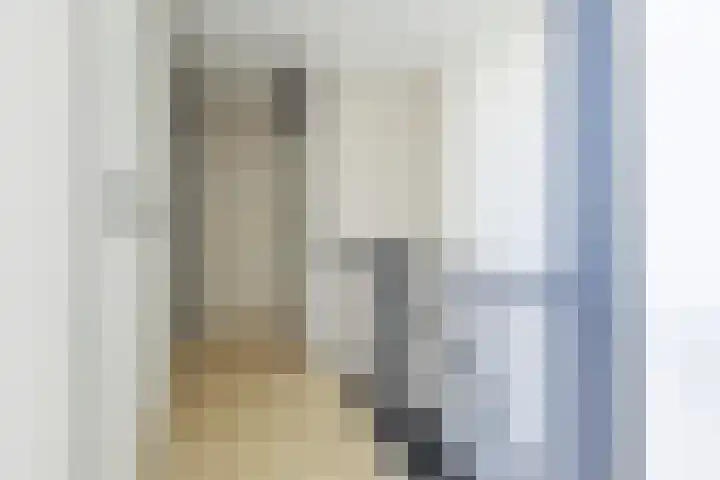 Bakhuis 25 Oud-Beijerland thumbnail 19