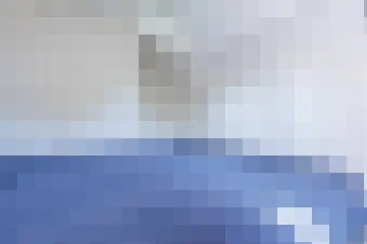 Bakhuis 25 Oud-Beijerland thumbnail 22