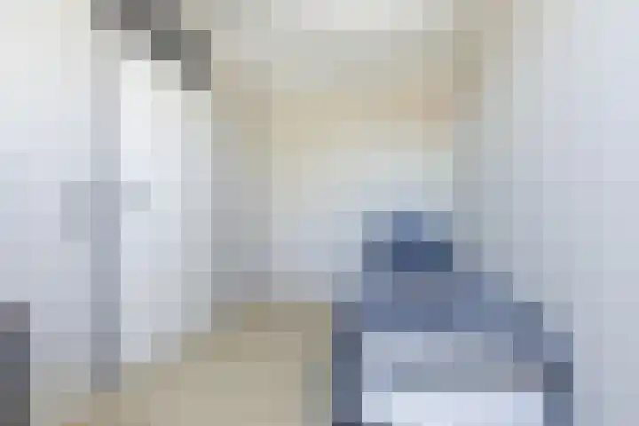 Bakhuis 25 Oud-Beijerland thumbnail 23