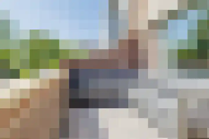 Bakhuis 25 Oud-Beijerland thumbnail 31
