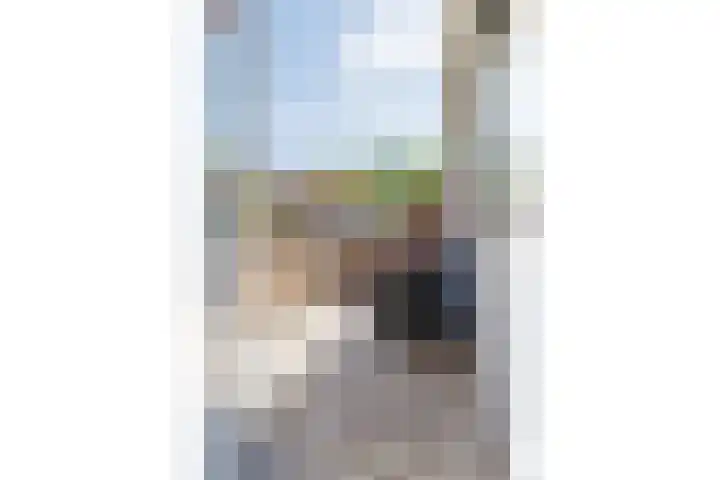 Bakhuis 25 Oud-Beijerland thumbnail 32